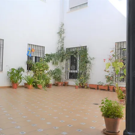 Sunshine Patio De Fernando Colon Apartment